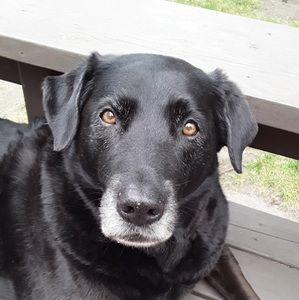 Meet your Posher, Annmarie